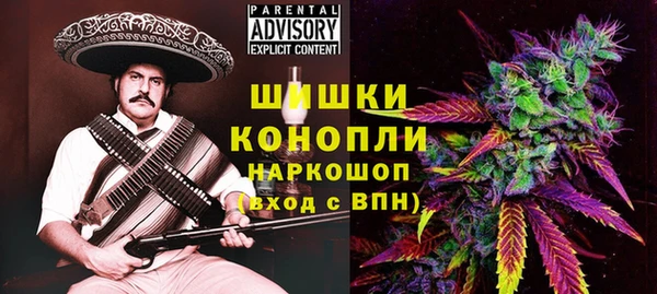 сатива Богородск
