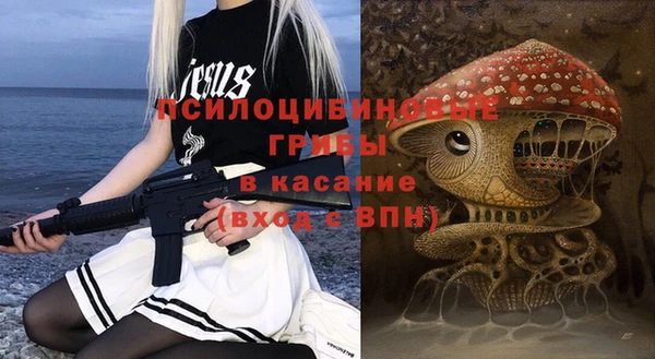 мескалин Богданович