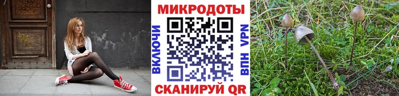 ссылка на мегу   хочу наркоту  Хилок  Галлюциногенные грибы Magic Shrooms 